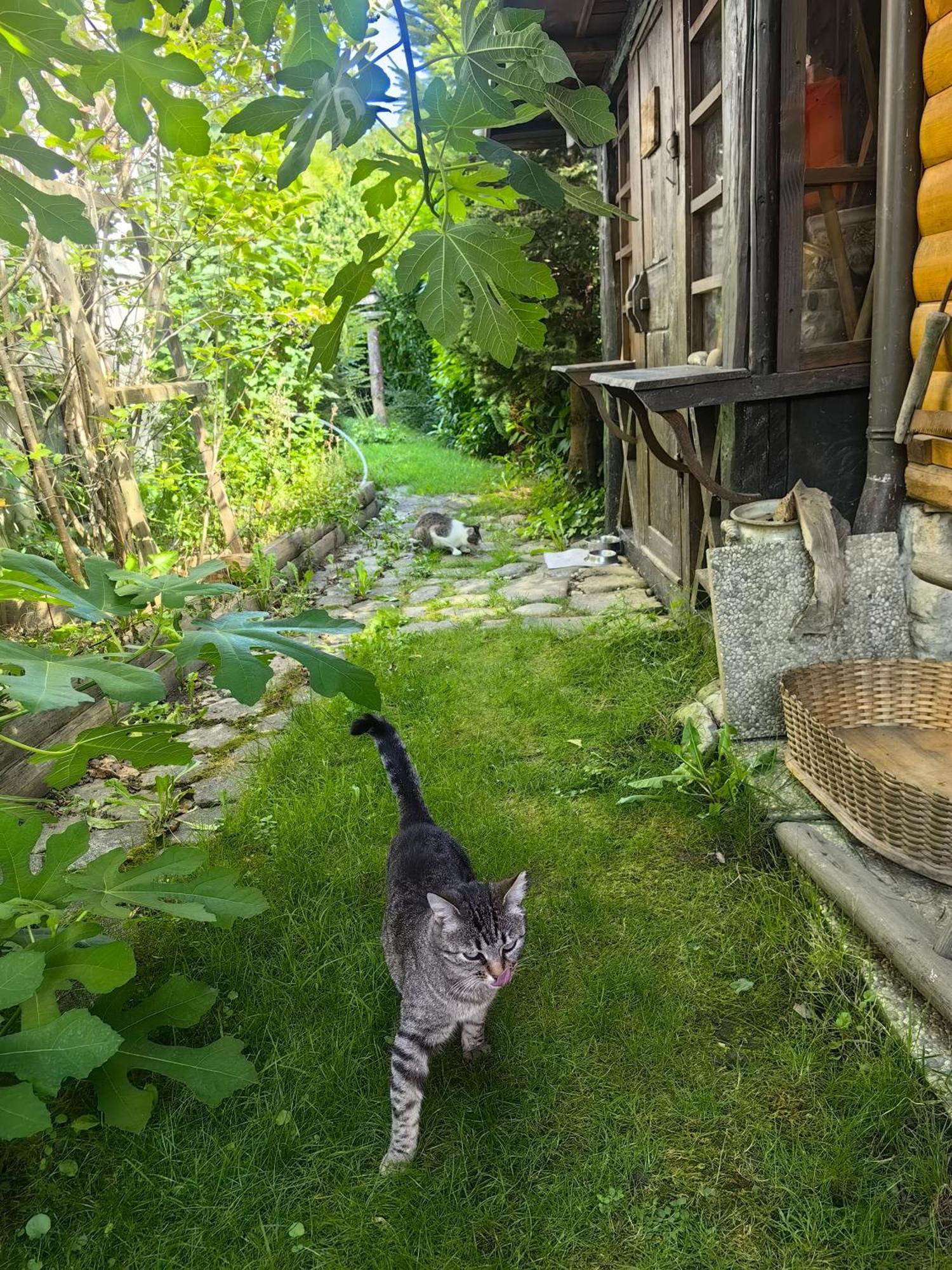 Hisa Hortenzija Luče Екстериор снимка